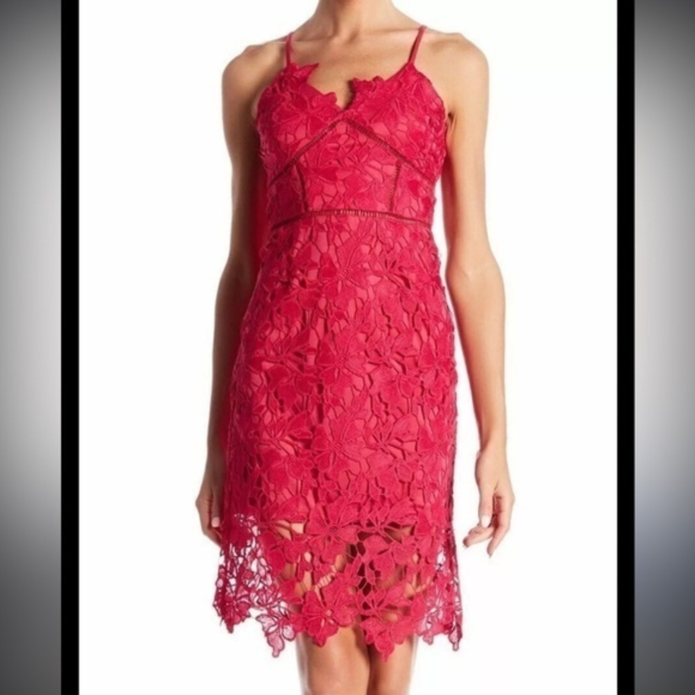 🇪🇸🐠Love...Ady Pink Floral Chemica Lace Illusion Hem Sheath Party Dress